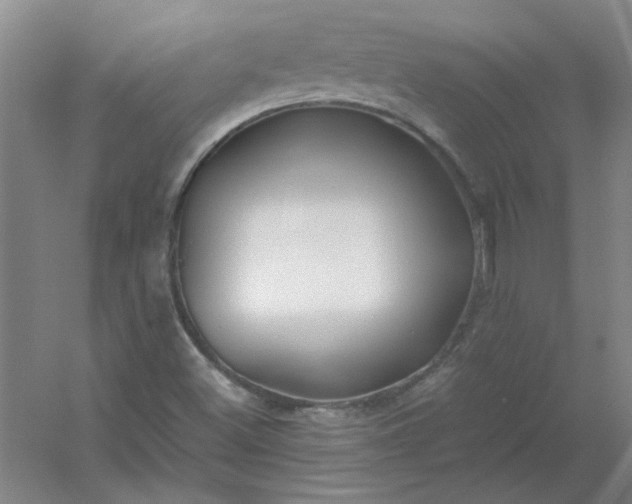 X0000054411500200508121711