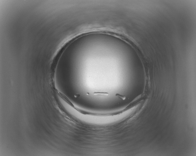 X0000054411501200508121711