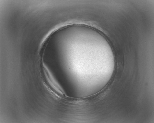 X0000054411502200508121711