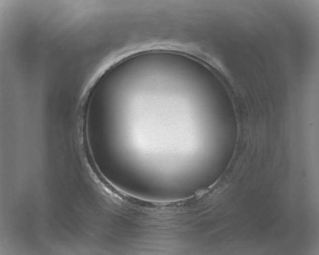 X0000054411504200508121711