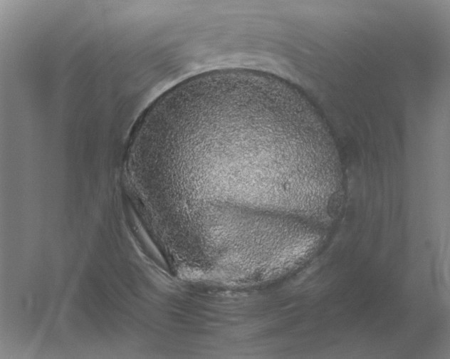 X0000054411505200508121711