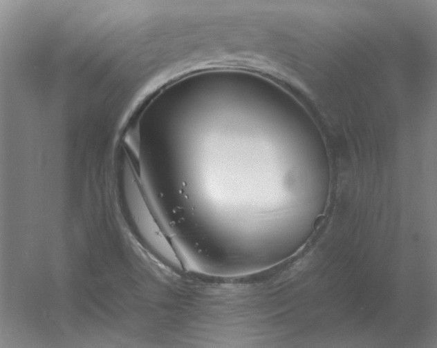 X0000054411506200508121711