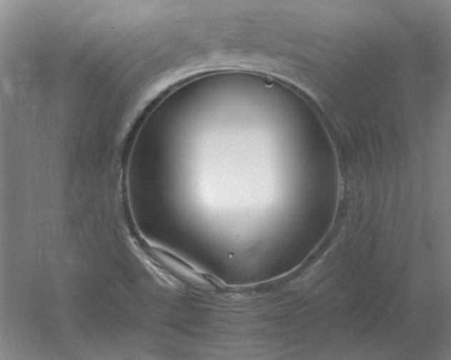 X0000054411507200508121711