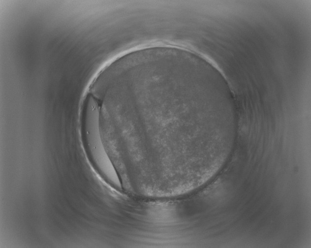 X0000054411508200508121711