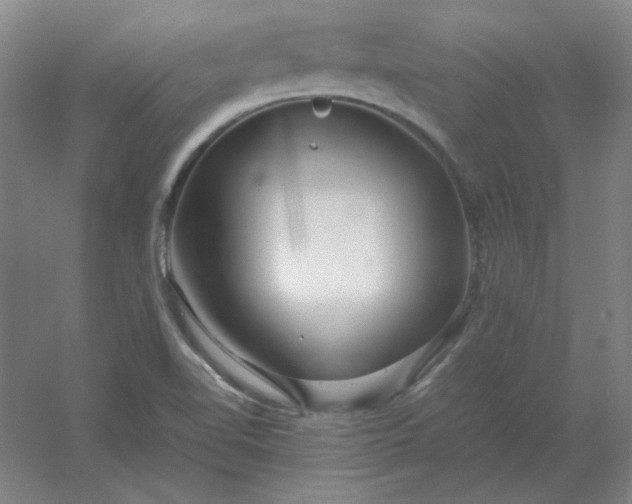 X0000054411510200508121711