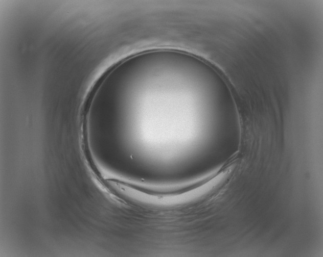 X0000054411511200508121711