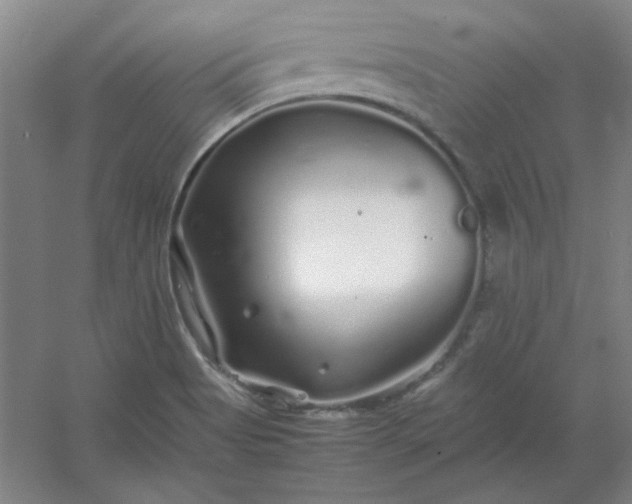 X0000054411513200508121711