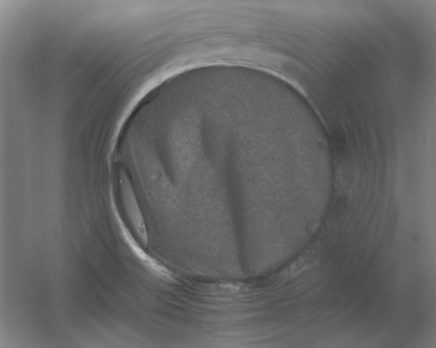 X0000054411515200508121712