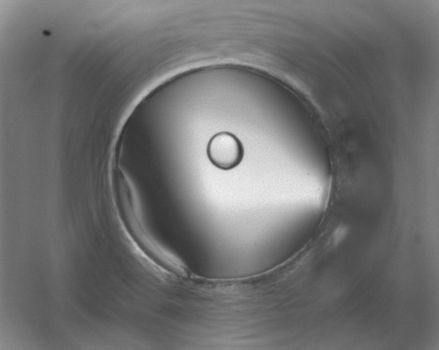 X0000054411516200508121712