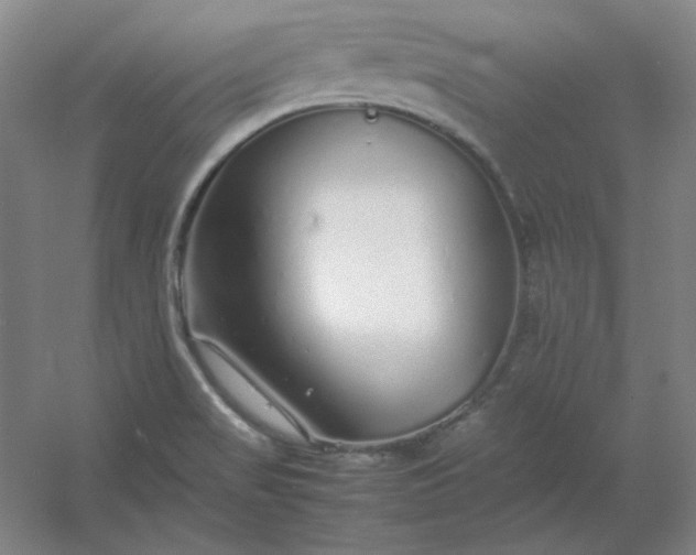 X0000054411517200508121712