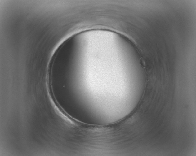 X0000054411518200508121712