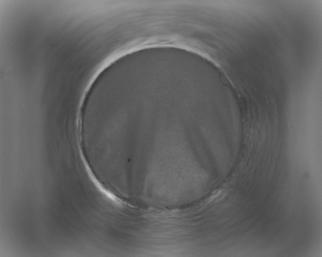 X0000054411519200508121712