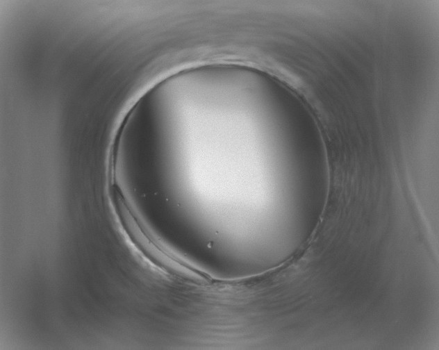 X0000054411520200508121712