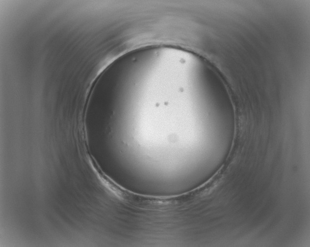 X0000054411521200508121712