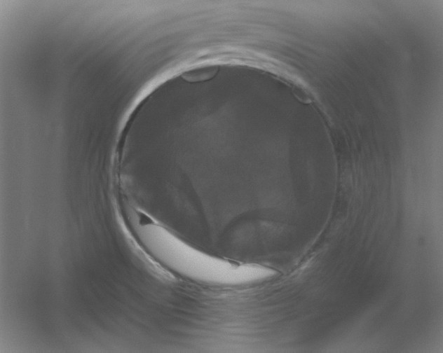 X0000054411522200508121712