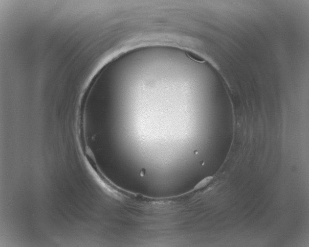 X0000054411523200508121712