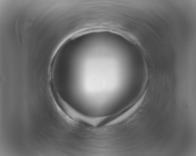 X0000054411524200508121712