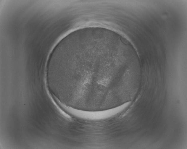 X0000054411525200508121712