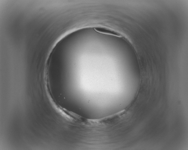 X0000054411526200508121712