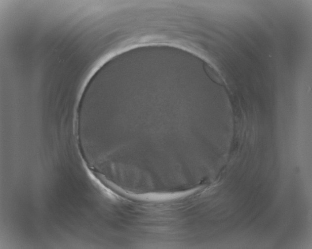 X0000054411527200508121712