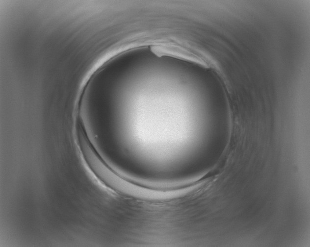 X0000054411528200508121712