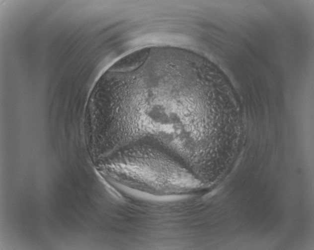 X0000054411529200508121712