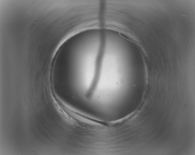 X0000054411530200508121712