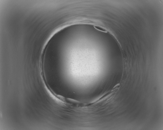 X0000054411531200508121712