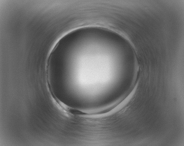 X0000054411532200508121712