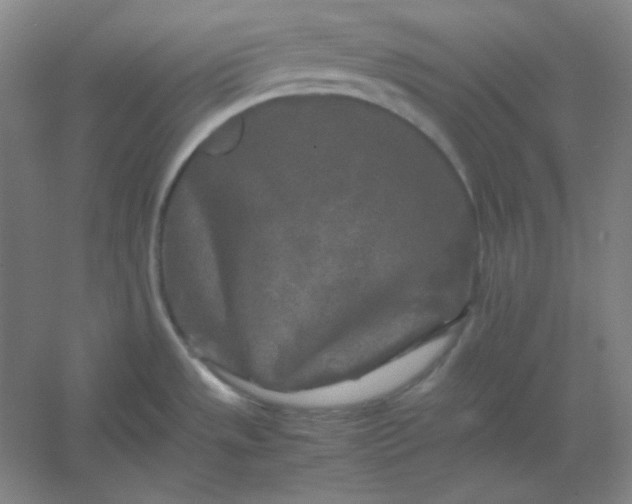 X0000054411533200508121712