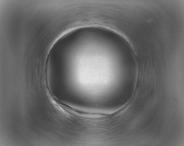 X0000054411534200508121712