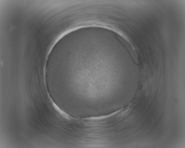 X0000054411535200508121712