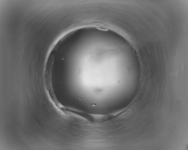 X0000054411536200508121712