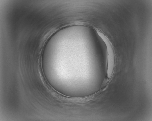 X0000054410001200508192043