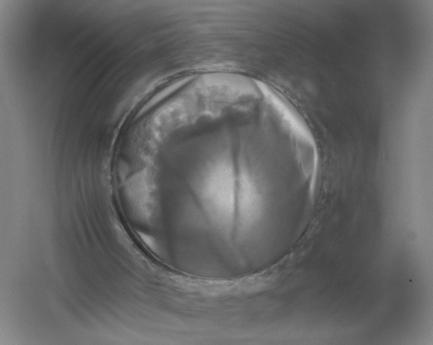 X0000054410002200508192043