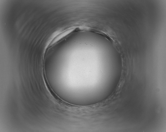 X0000054410003200508192043