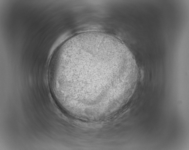 X0000054410004200508192043