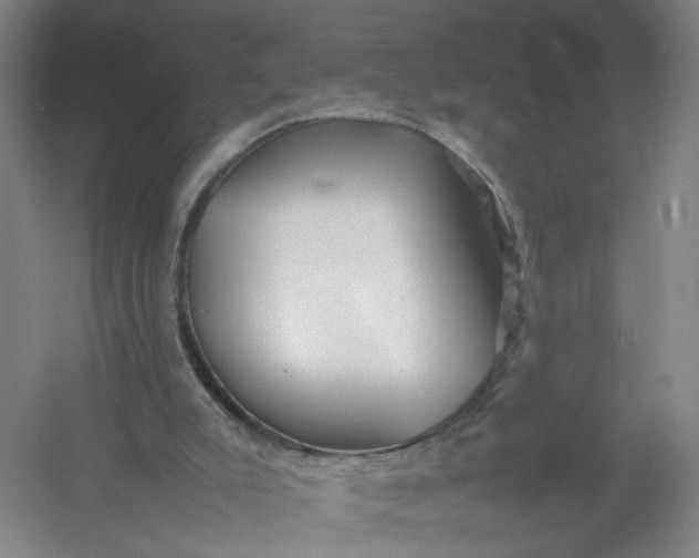 X0000054410007200508192043