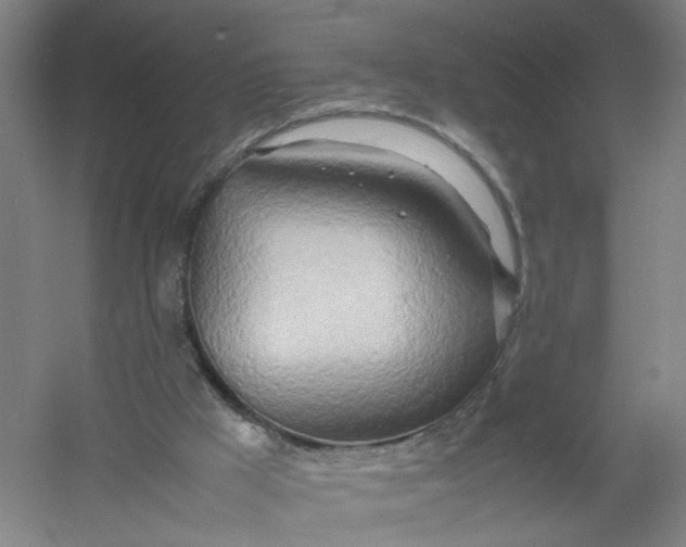 X0000054410009200508192043