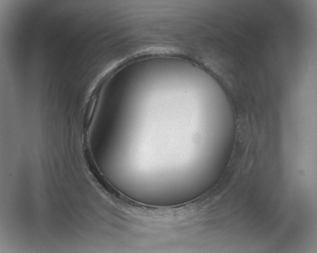 X0000054410015200508192043