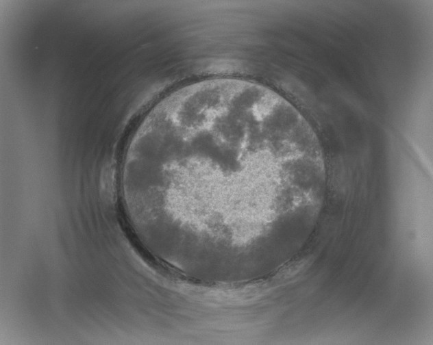 X0000054410016200508192043