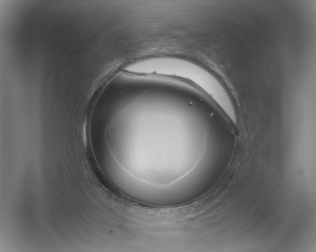 X0000054410019200508192043