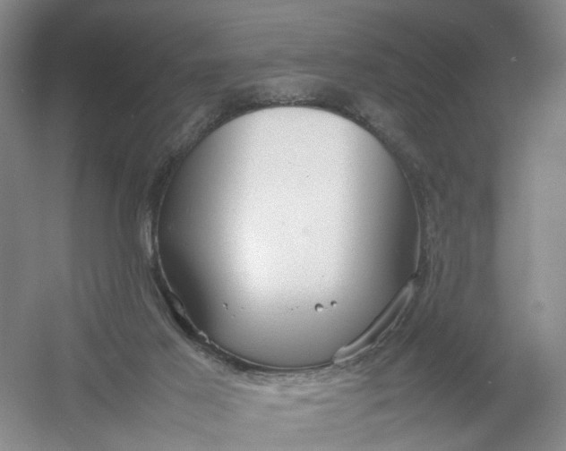 X0000054410021200508192043