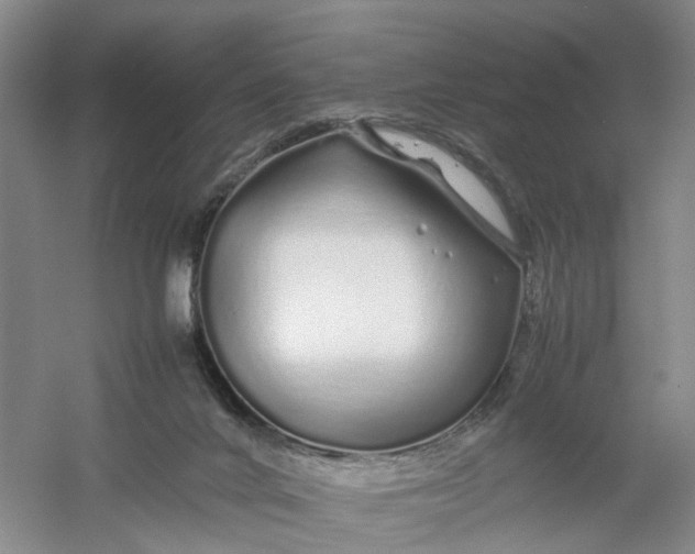 X0000054410024200508192043