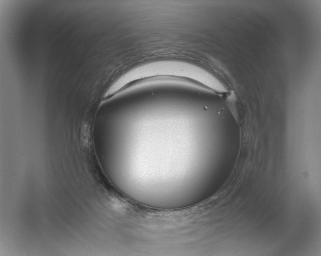 X0000054410025200508192043
