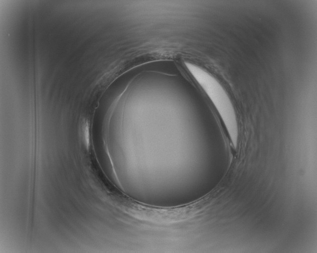 X0000054410027200508192043