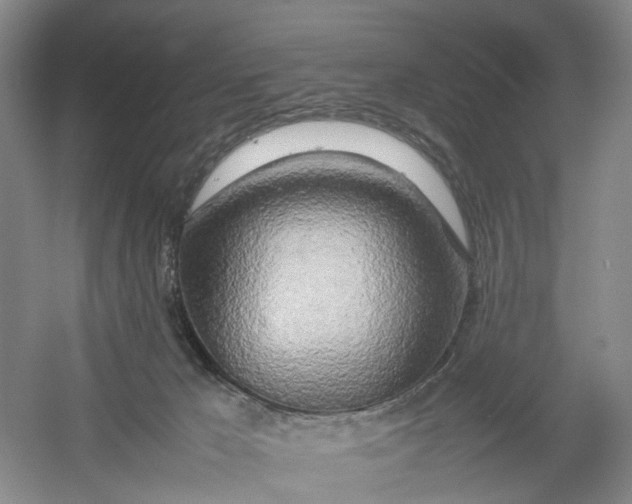X0000054410029200508192043