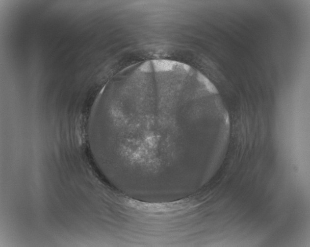 X0000054410030200508192043