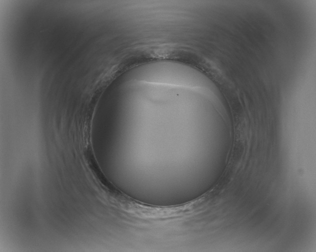 X0000054410031200508192043