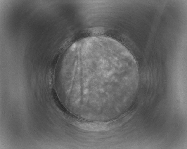 X0000054410032200508192043
